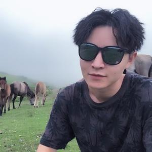 陈社长头像