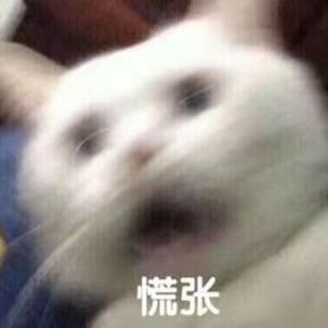 街砖de头像