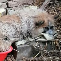 李中福李中福头像