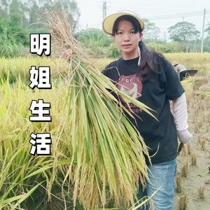 明姐生活头像