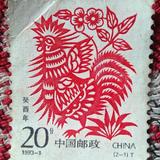 峰哥20230526头像