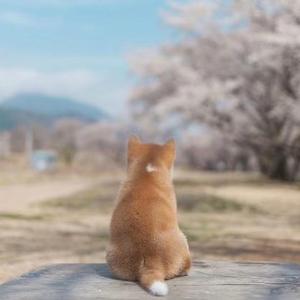 凡人自我修炼头像