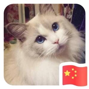 吴宝森头像