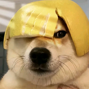 大狗来啦头像