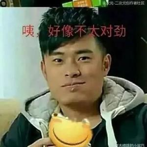 百劫问天君头像
