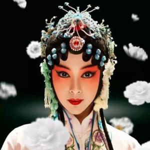 江城子a头像