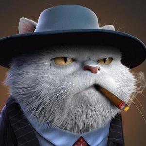 飞飘的猪头像
