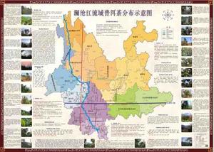 跃哥说普洱头像