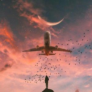 航空Chen头像