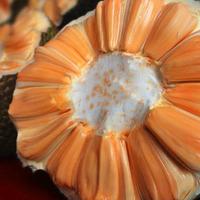 视野书包8N0头像