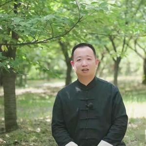 文喜可正头像