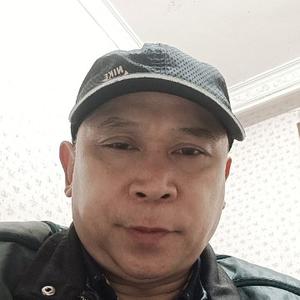 朴实小猫Lc头像