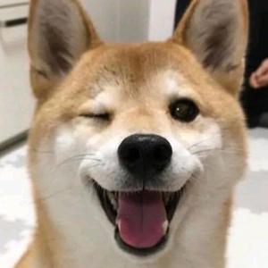 小姜在此头像