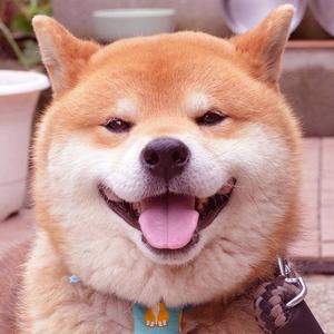 李侠头像