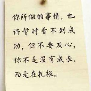 思无邪思想的芦苇头像