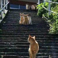 叫他小男孩头像