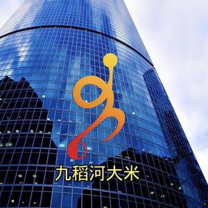 九稻河（路哥）头像