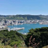 从头再来的小伙子头像