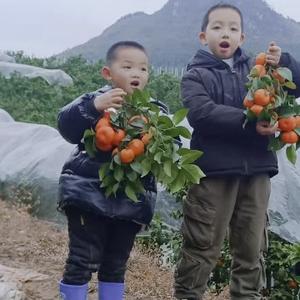 乐观的溪流rC头像
