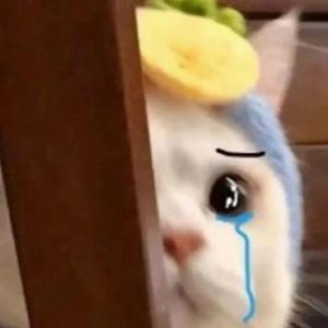暴躁猫爪头像