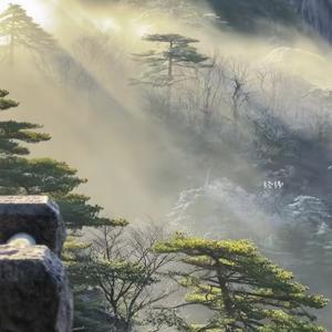 悠然1314头像