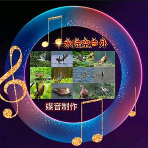 水陆空户外头像