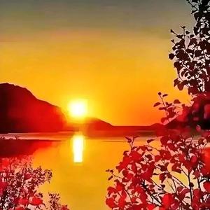 @夕阳红头像