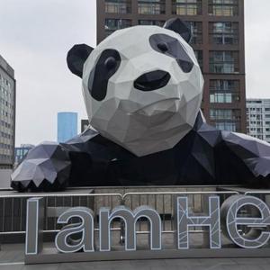 仰望星空的圆滚滚头像