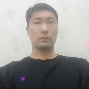 力哥在努力头像