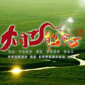 大同二能耐工作室头像