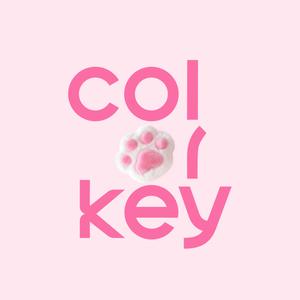 珂拉琪colorkey官方旗舰店头像