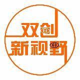 双创新视界头像