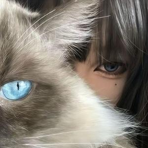 双子酱头像