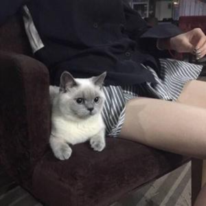 @麻勒勒头像