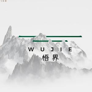 张岩-悟界头像