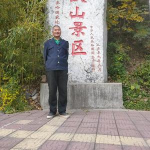 自由飞翔头像