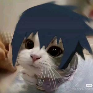 小猫佐助头像
