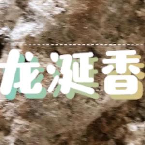 世界名香沉檀龙麝头像