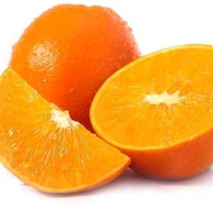 TOP柑橘头像