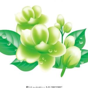 茉茉是一个游客头像