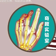 全能奇趣实验室头像