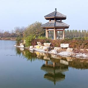 碗约头像