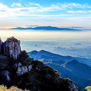 胡杨和你看世界 头像