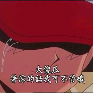栋朋回忆录头像