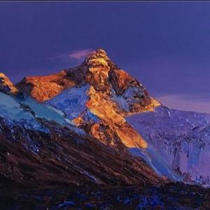 散人陈执中 头像