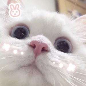 YA艺头像
