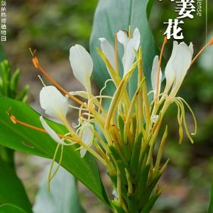 富则达济天下头像