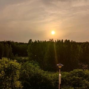 糊涂老汉头像