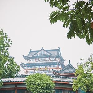懒洋洋呀头像