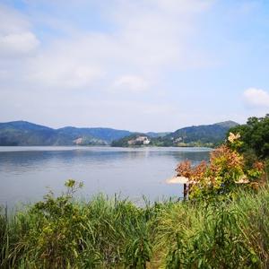 丁香爱旅游头像